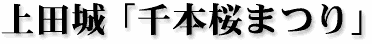 上田城「千本桜まつり」